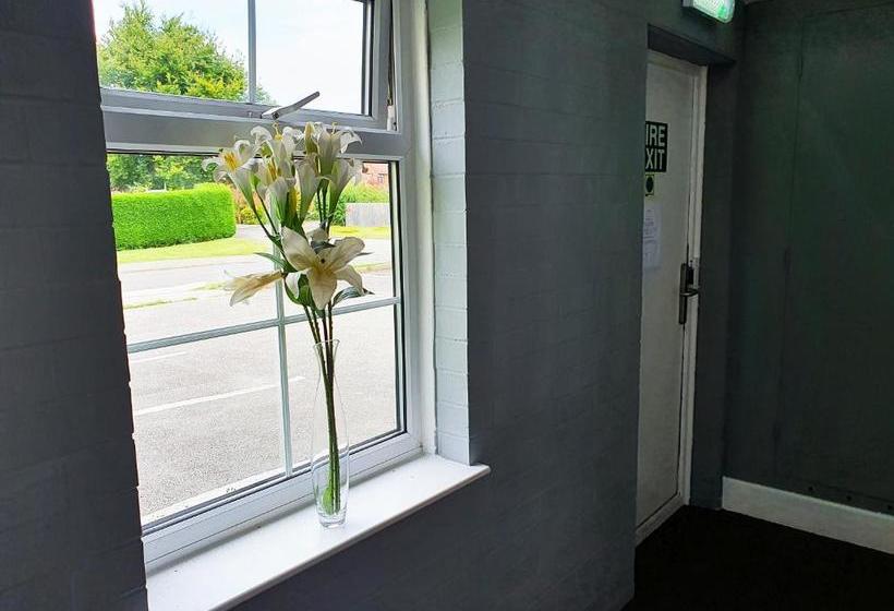 ベッドアンドブレックファースト The Dapper Spaniel