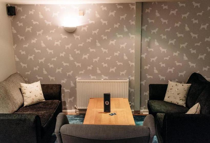 住宿加早餐  The Dapper Spaniel