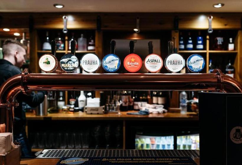 住宿加早餐  The Dapper Spaniel