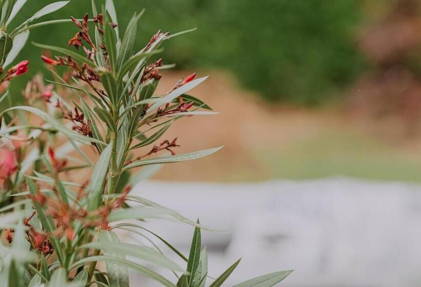 Bed and Breakfast Villa Geva