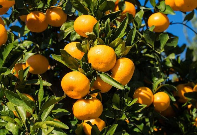 Business Hotel Kyugetsu