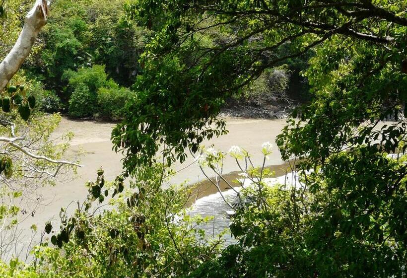 Отель Boca Brava Lodge