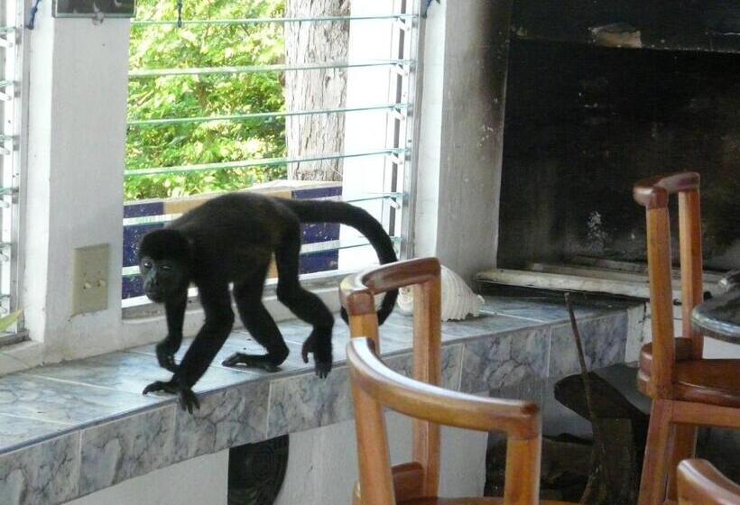 Отель Boca Brava Lodge