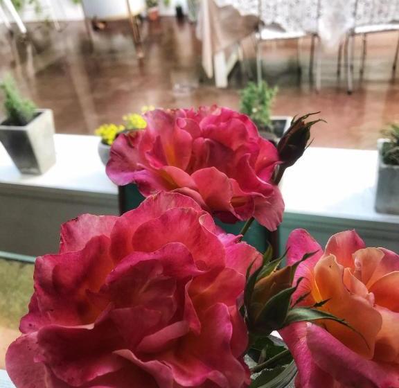 Отель Boutique Deluz