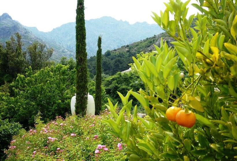 호텔 Cas Anna Lidia   Hôtel De Charme