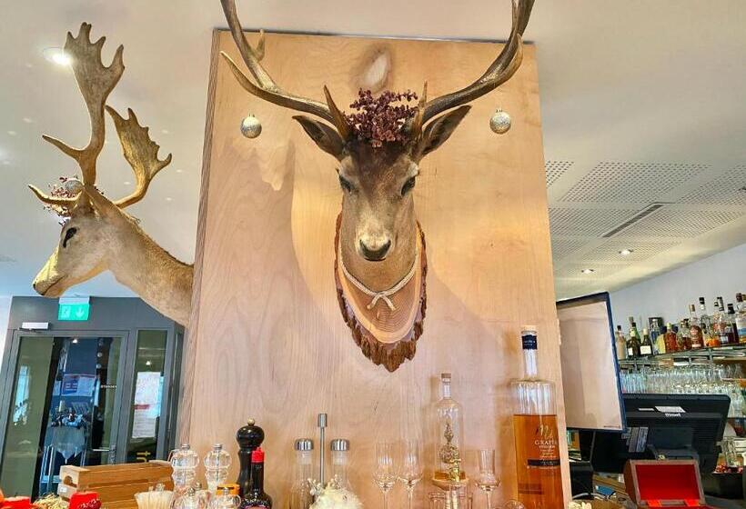 בית מלון כפרי Hirschen Hinwil