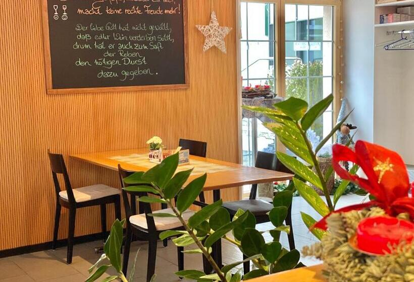 בית מלון כפרי Hirschen Hinwil