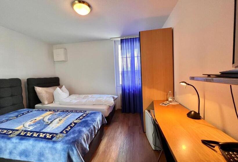 Hotel Hirschen Hinwil