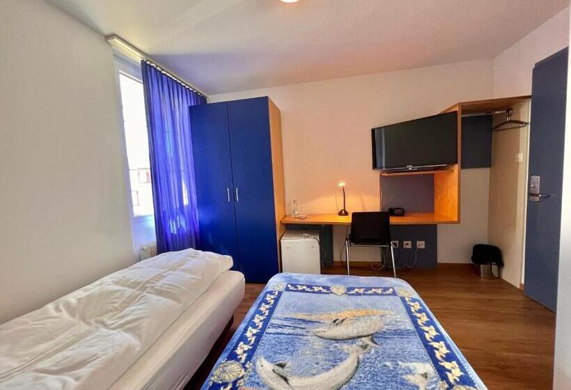 בית מלון כפרי Hirschen Hinwil