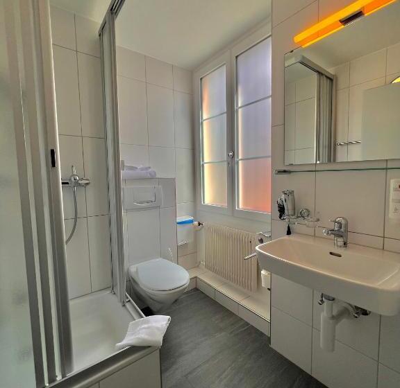 בית מלון כפרי Hirschen Hinwil