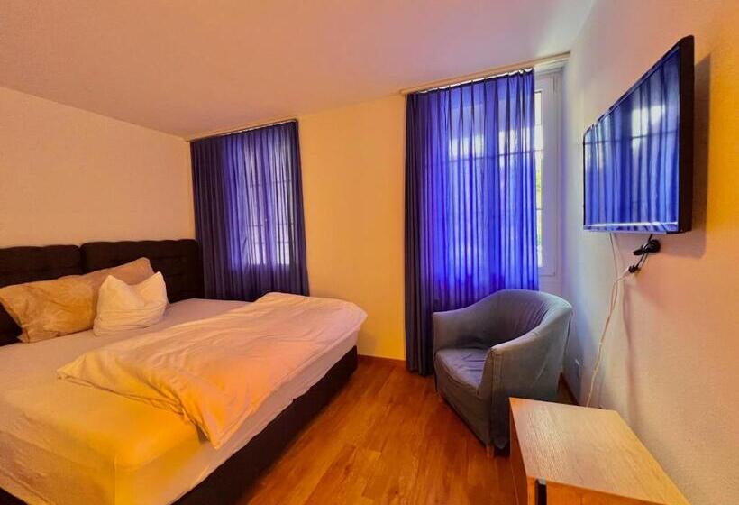 בית מלון כפרי Hirschen Hinwil