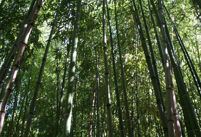 호텔 L'oree Du Château