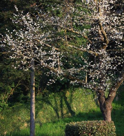 호텔 L'oree Du Château