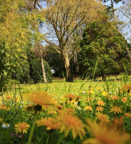 호텔 L'oree Du Château