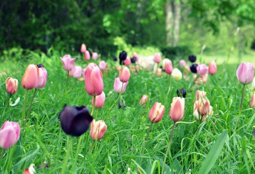 فندق Le Morimont