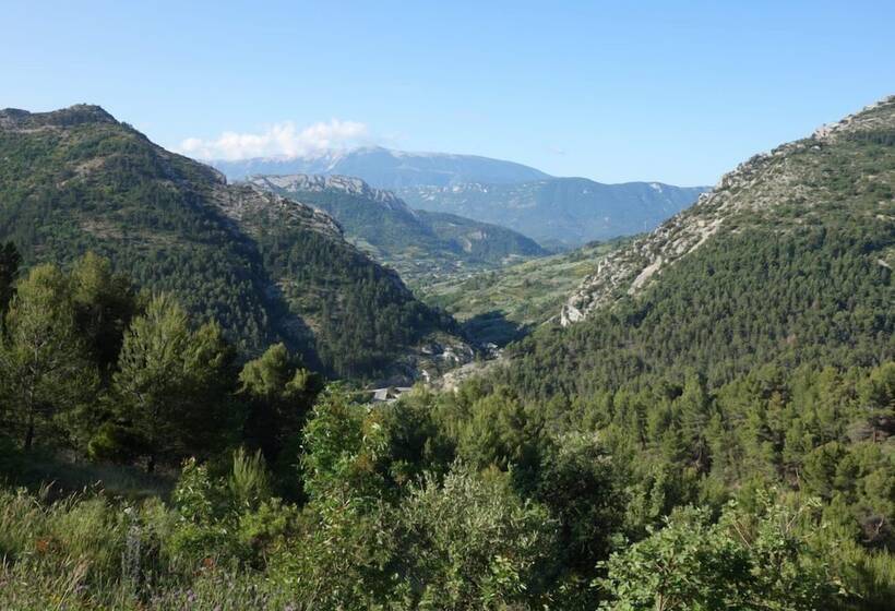 Отель Les Arcades Le Lion D'or