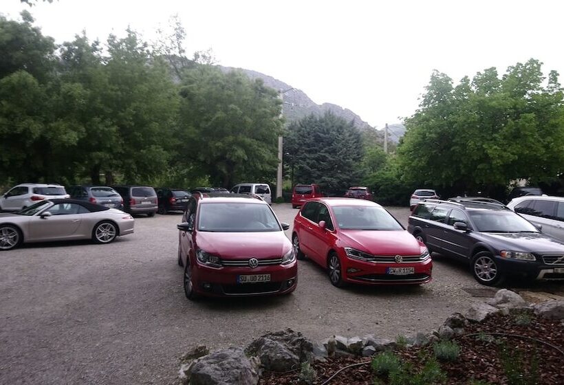 Отель Hôtel Sous L Olivier