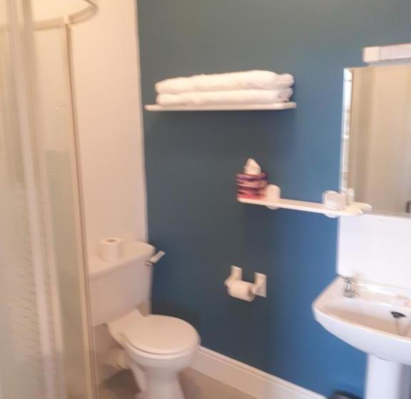 膳宿费 Castlemorris House