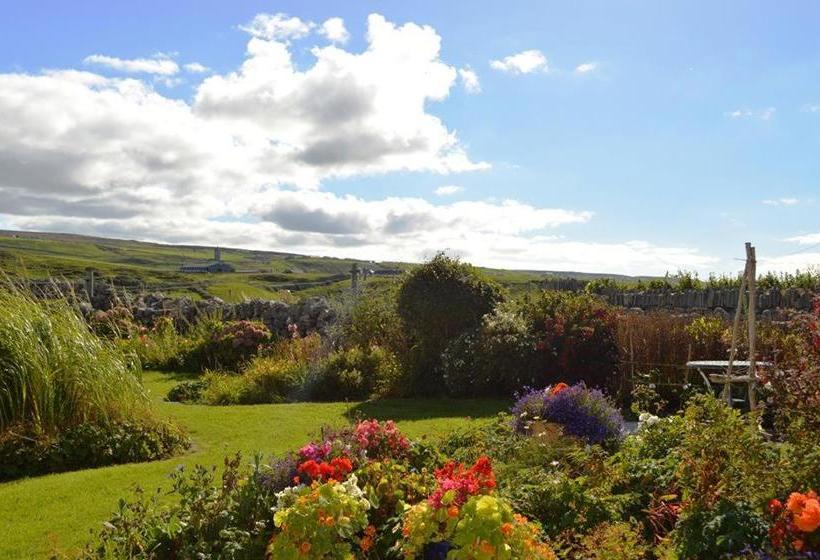 بنسيون Daly S House