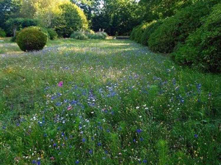 Пансион Domaine Les Bruyères