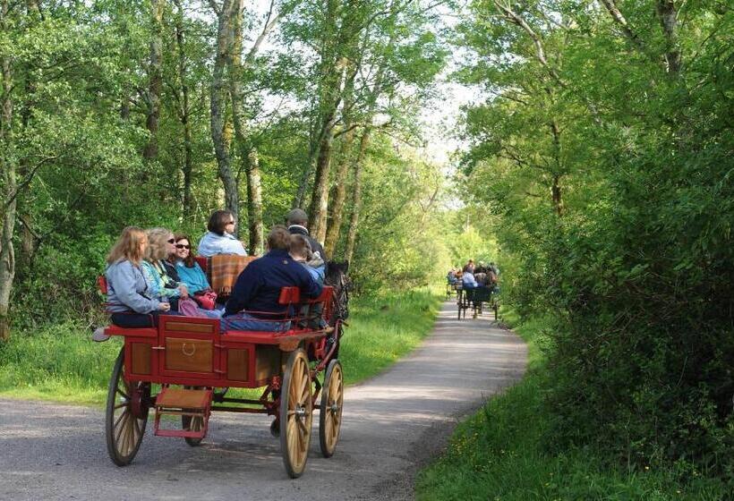 بنسيون Killaran House