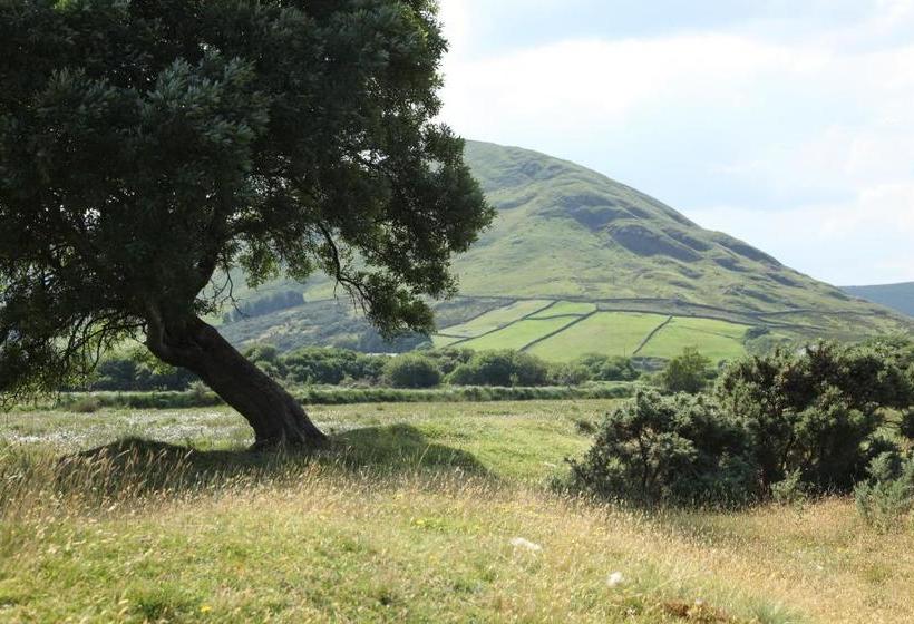 פנסיון Roscaoin House