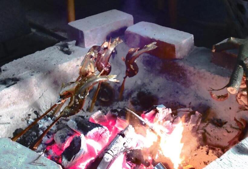 بنسيون Wasai Kan