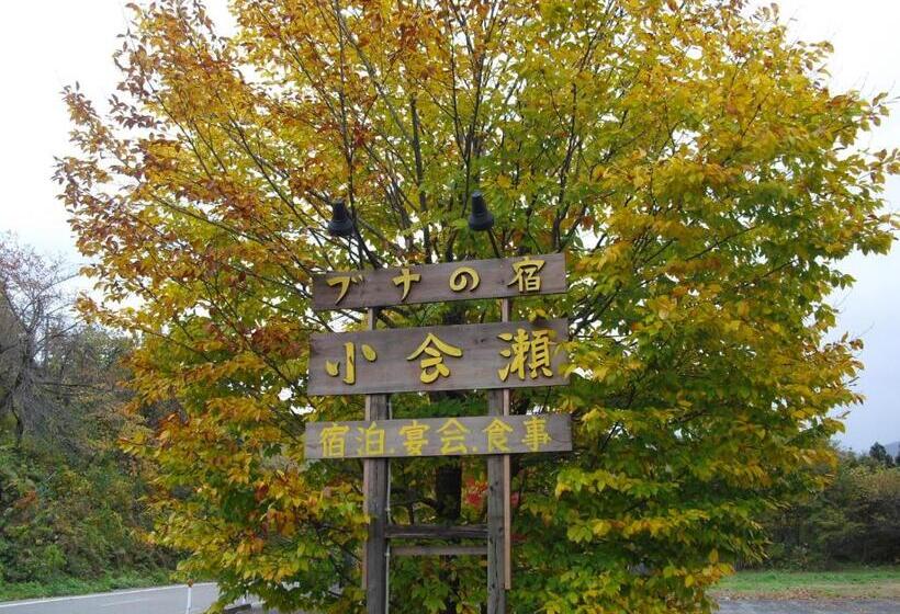 ריוקאן Bunanoyado Koase