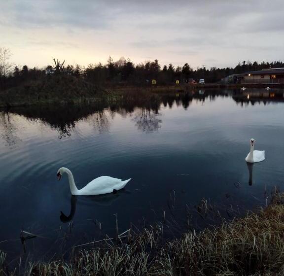 مبيت وإفطار Inny River Lodge