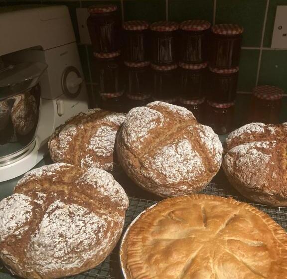 مبيت وإفطار Inny River Lodge