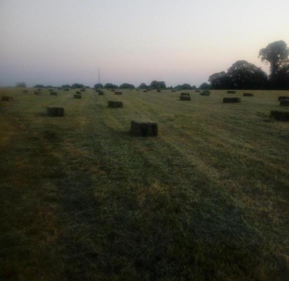 مبيت وإفطار Inny River Lodge