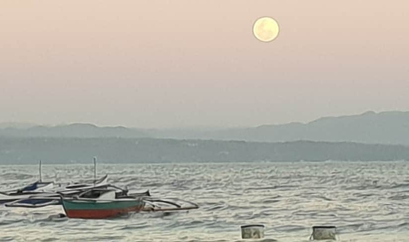 هتل Alona Beach Side Inn