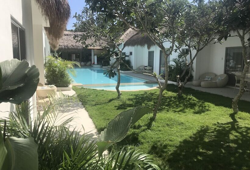 هتل Alona Beach Side Inn