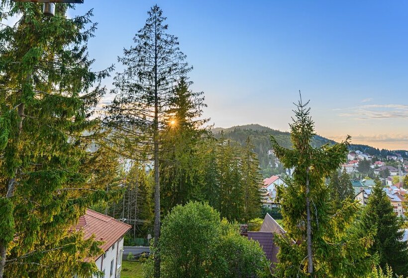 בית מלון כפרי Pensiunea Hilltop