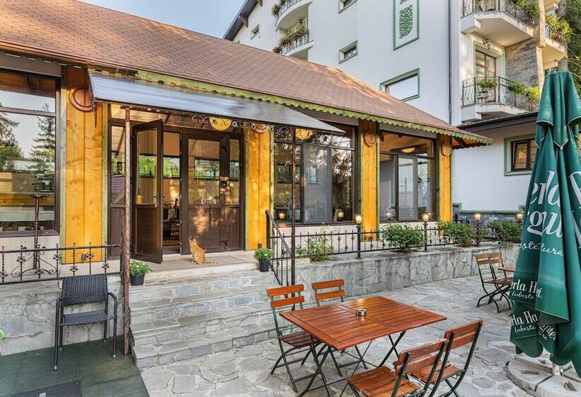 בית מלון כפרי Pensiunea Hilltop