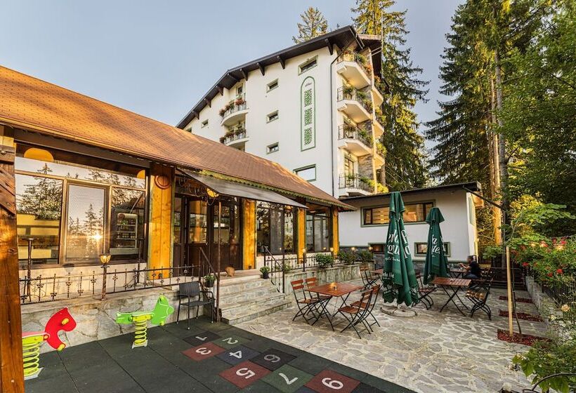 בית מלון כפרי Pensiunea Hilltop