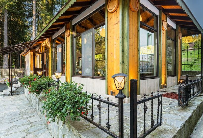 בית מלון כפרי Pensiunea Hilltop