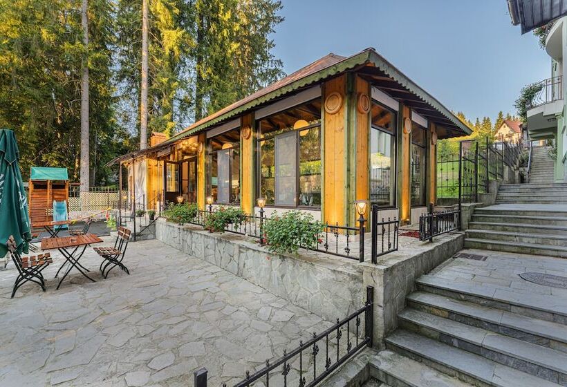 בית מלון כפרי Pensiunea Hilltop