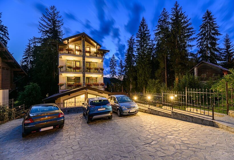 בית מלון כפרי Pensiunea Hilltop