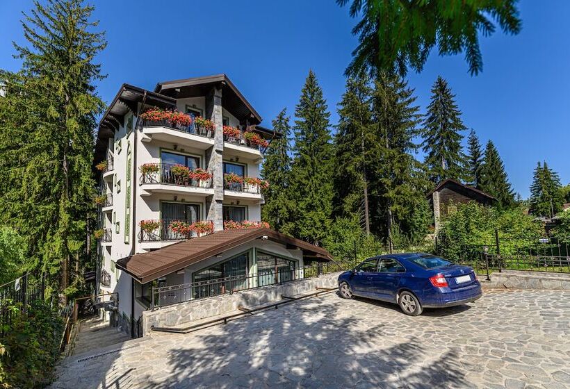 בית מלון כפרי Pensiunea Hilltop