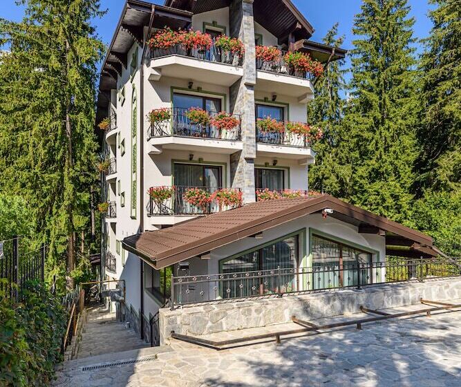 בית מלון כפרי Pensiunea Hilltop