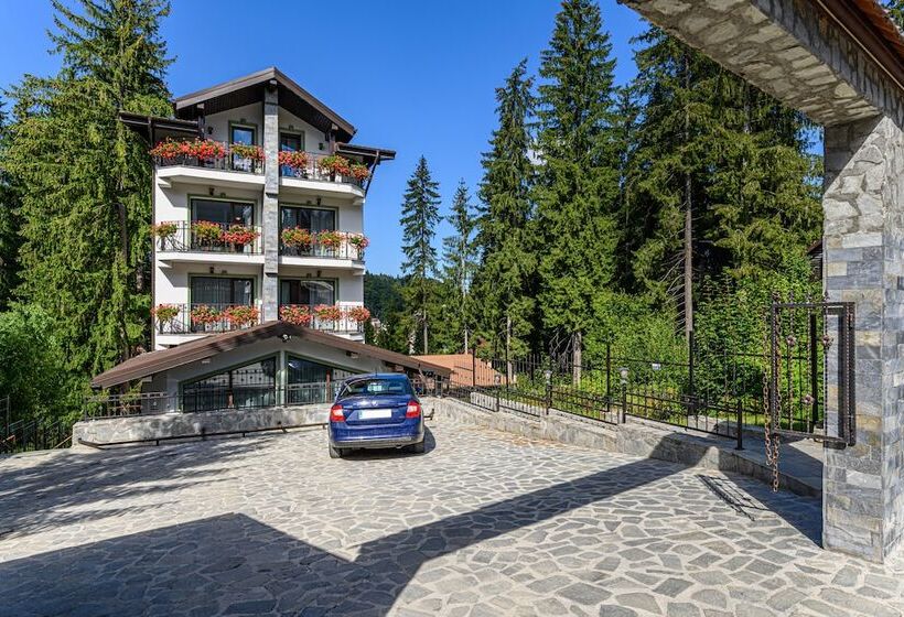 בית מלון כפרי Pensiunea Hilltop