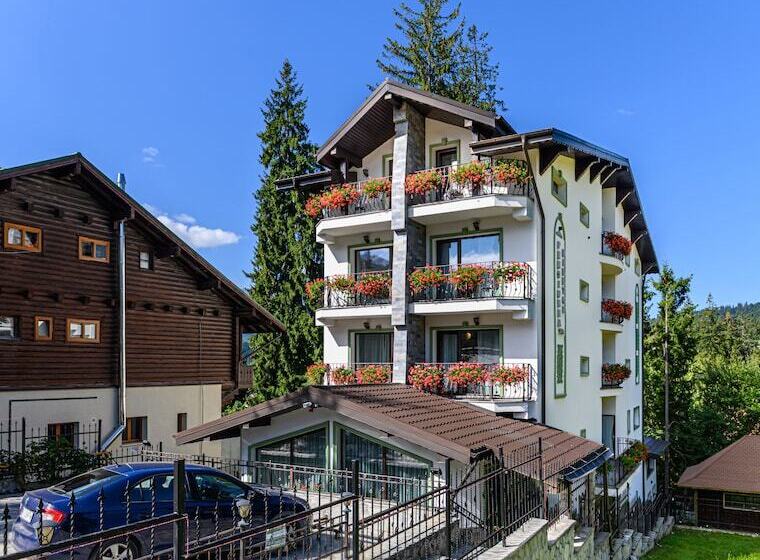 בית מלון כפרי Pensiunea Hilltop