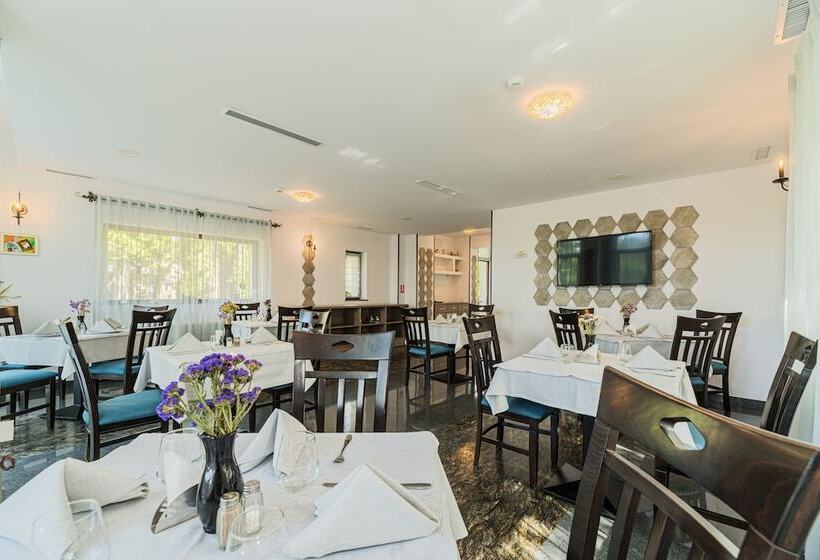 בית מלון כפרי Pensiunea Hilltop