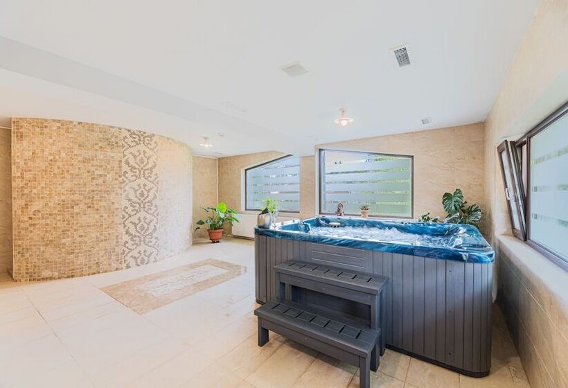 בית מלון כפרי Pensiunea Hilltop