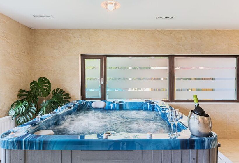 בית מלון כפרי Pensiunea Hilltop