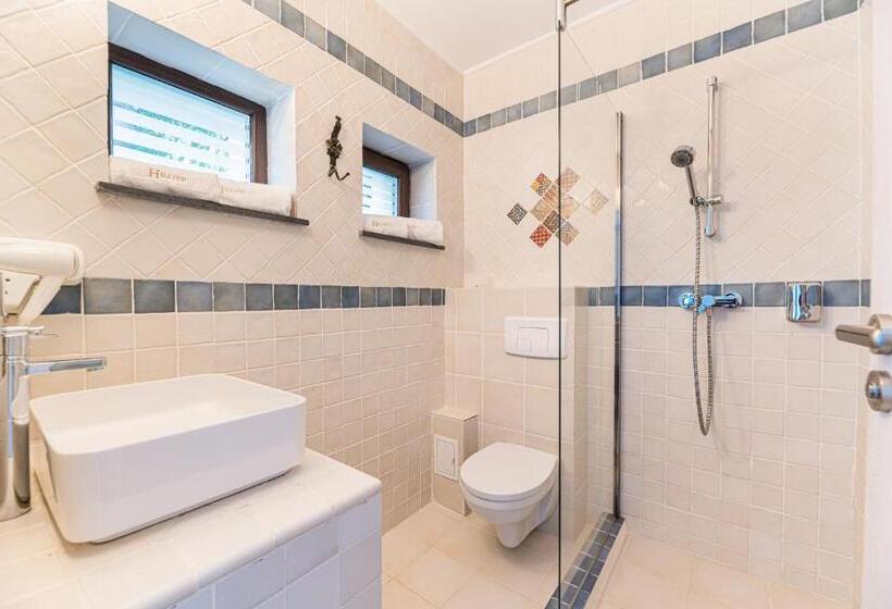 בית מלון כפרי Pensiunea Hilltop