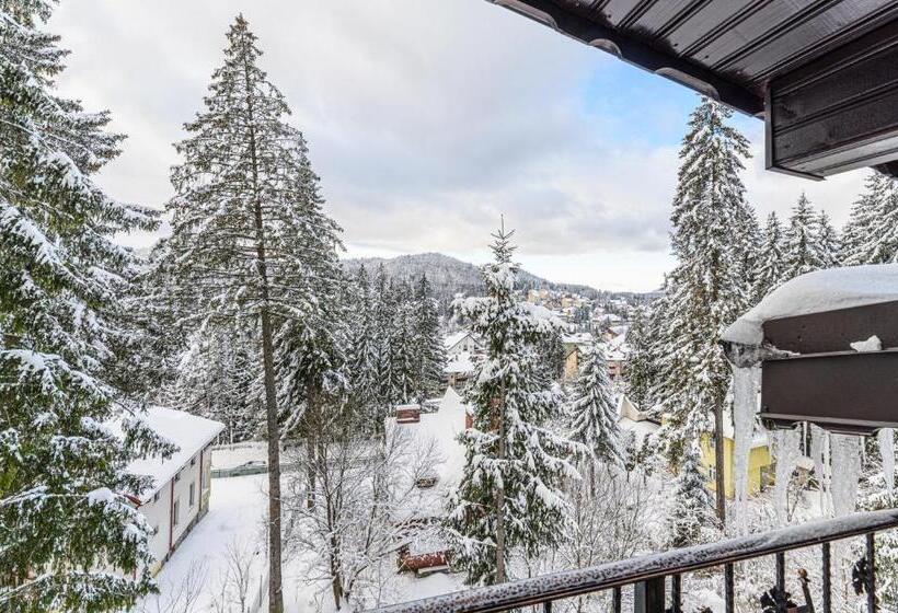 בית מלון כפרי Pensiunea Hilltop