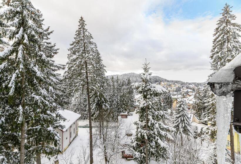 בית מלון כפרי Pensiunea Hilltop