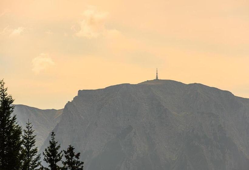 בית מלון כפרי Pensiunea Hilltop